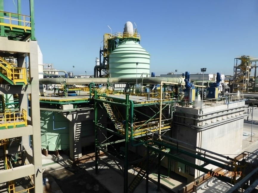MAP DAP plant (1)
